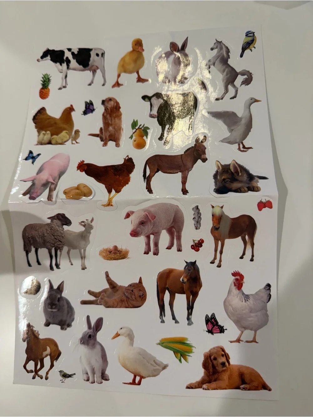 Large bundle farm animal, camping, fruit, vegetable, & candy stickers for crafts